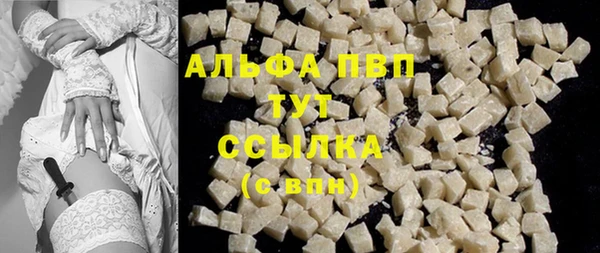 дживик Абаза