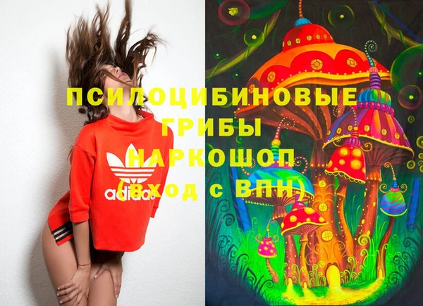 дживик Абаза