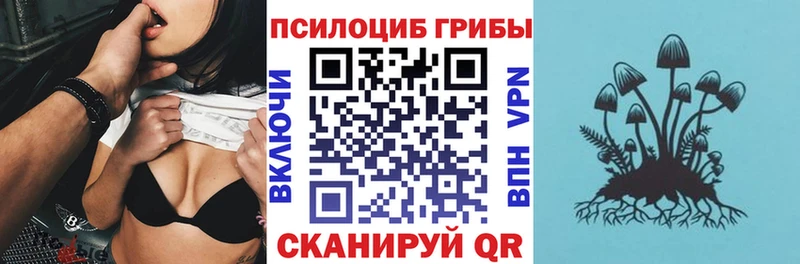 что такое наркотик  Алагир  мега ТОР  Псилоцибиновые грибы Psilocybine cubensis 
